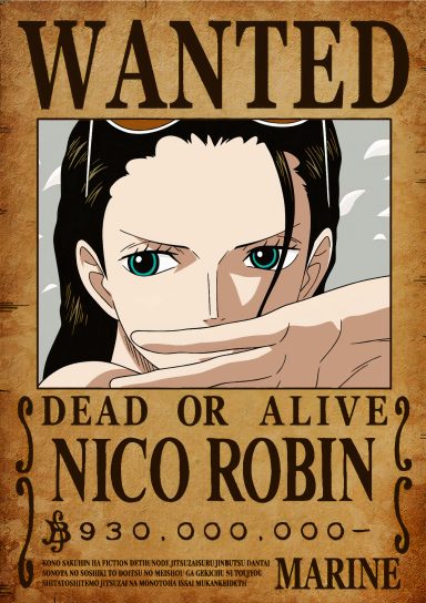 NICO ROBIN NUEVO