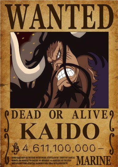 KAIDO