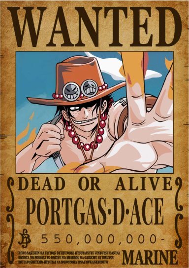 PORTGAS D. ACE