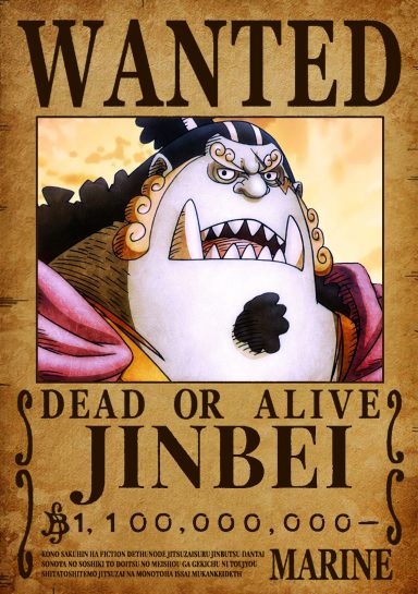 JINBEI NUEVO